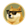 DOGE20