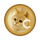 CATCOIN