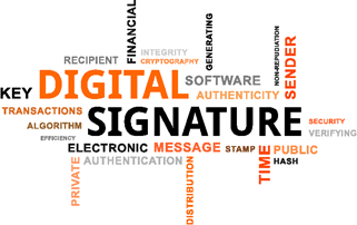 How Do Digital Signatures In Bitcoin Work Cryptocompare Com - 