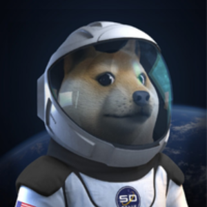 SDOGE