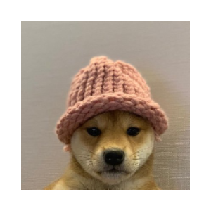 DOGWIFHAT