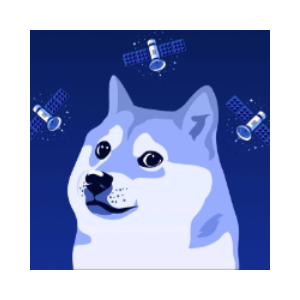 DOGE1SAT