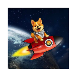 STARSHIPDOGE