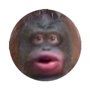 MONKE