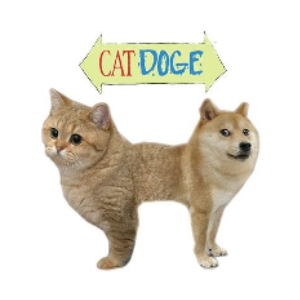 CATDOGE