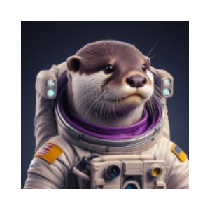 OTTERSPACE